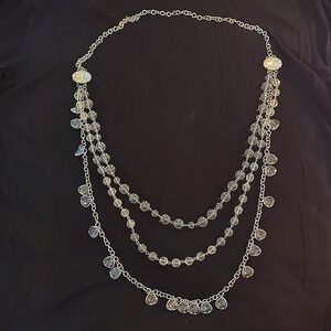 Woman's Long Crystal & Silver Chain Beaded Necklace
